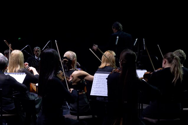 Šiaulių simfoninis orkestras Šiaulių simfoninis orkestras