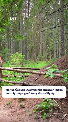 Marius Čepulis apie skruzdėlyną: tokio tikrai nesu matęs