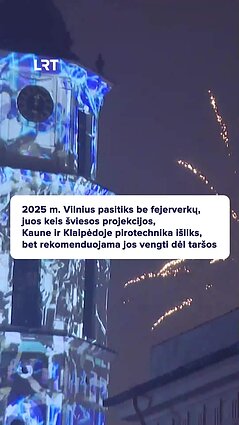 Kaip švęsti Naujuosius metus – su fejerverkais ar be jų?