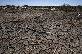 Klimato kaita