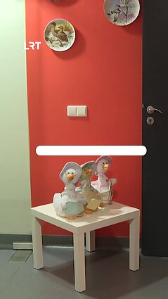 Vienintelis žąsų muziejus Lietuvoje: ar esate apsilankę?