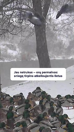 Kokių orų tikėtis šią savaitę?