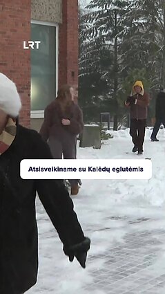 Kaip elgtis su nupuoštomis Kalėdų eglutėmis?