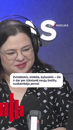 Kokie nauji lietuviški žodžiai 2024-aisiais užfiksuoti Lietuvoje?