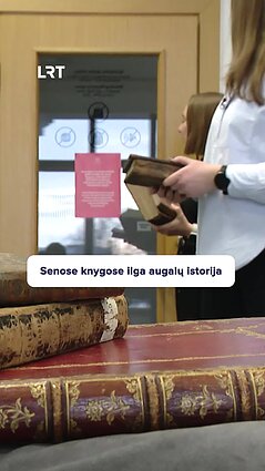 Senose knygose – viskas, kas susiję su augalais