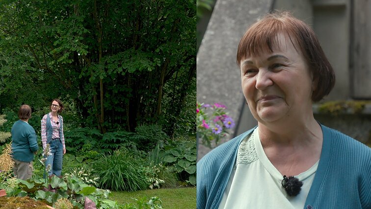 130-metės sodybos šeimininkė Ramutė: „Už sodybos ėjo fronto linija, bet Dievas apsaugojo“