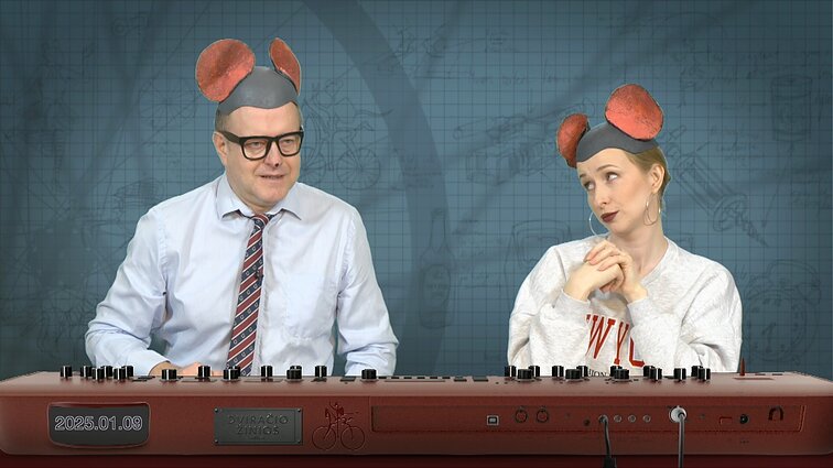 Peliukai apie konservatorių demokratijos šventę: gimtadienio vakarėlis kainuoja daugiau?