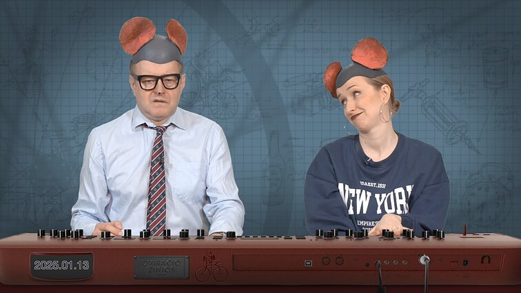 Peliukai apie „Eurovizijos“ atranką: kodėl prasidėjo nepasibaigus Dakarui?