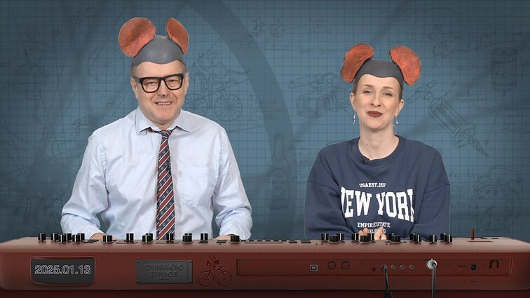 Peliukai apie skrydžius į niekur: galėtų būti organizuojami dažniau?