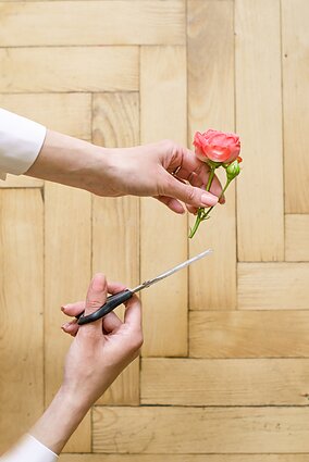 Mamos mokė teisingai: norint, kad gėlės ilgiau žydėtų vazoje, patariama pakirpti jų kotelius