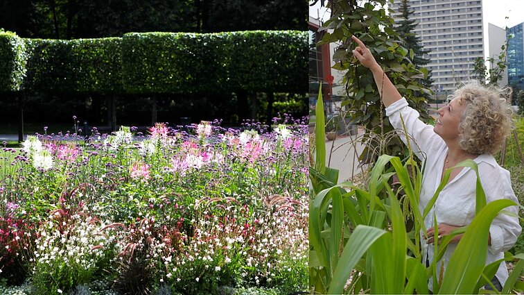 Vilnius – Europos žalioji sostinė: kuo ypatingas miestas ir ko galima iš jo pasimokyti?