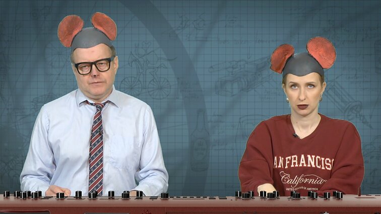 Peliukai apie Gitaną Nausėda: kodėl ir jis negali suteikti amnestijos riaušininkams?