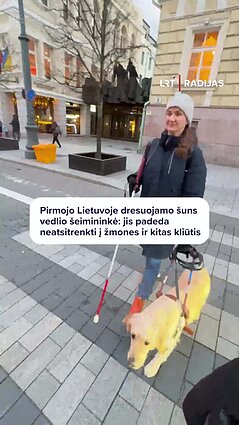 Kaip neregiams padeda Lietuvoje pradėti dresuoti šunys vedliai?