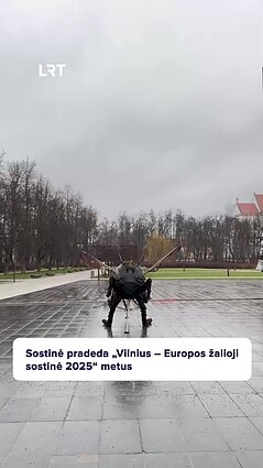 Sostinėje Lukiškių aikštėje iškilo įspūdinga instaliacija iš atliekų