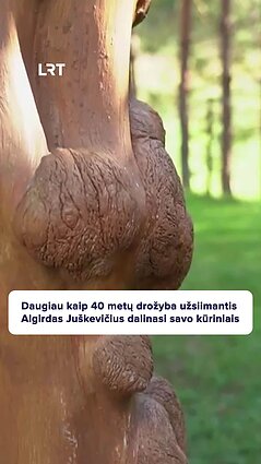 Algirdas Juškevičius drožyba užsiima daugiau kaip 40 metų!