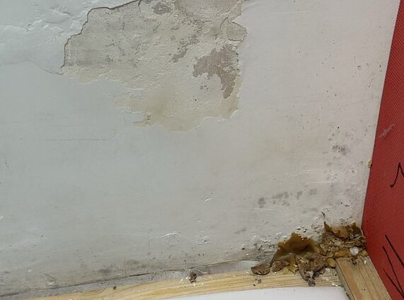 Palangos sporto centras