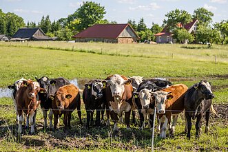 Farm