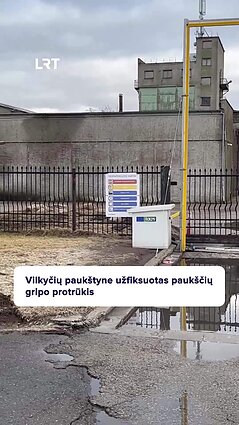 Vilkyčių paukštyne – paukščių gripo protrūkis: nugaišo 30 tūkst. vištų.