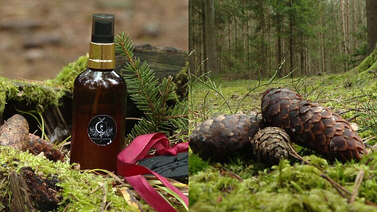 Spygliuočiai, miško uogos, baravykas ir pačiulis: Kazlų Rūdai sukurtas miesto kvapas