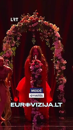 Ar Meidė su daina „Gyvatės“ turėjo patekti į „Eurovizijos“ atrankų finalą?