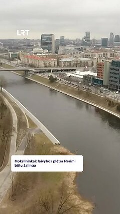 Mokslininkai: lavybos plėtra Nerimi būtų žalinga