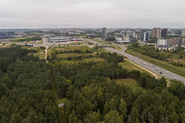 Pilaitės miškas Pilaitės miškas