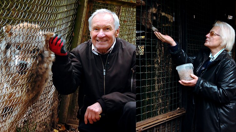 Žvėrynėlyje vilkus auginanti senjorų pora: patys nevalgysim, bet gyvūnai bus sotūs