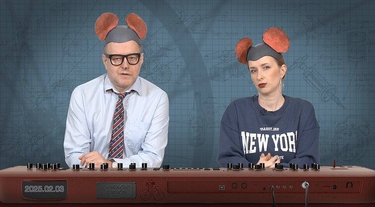 Peliukai apie „Idėjas Lietuvai“: įgyvendinimui reikia bent 20 metų?