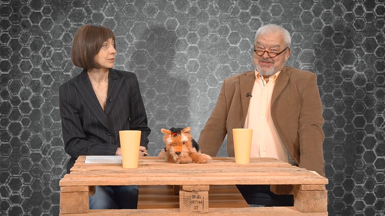 Dviračio žinios. Ekspertas apie Grenlandiją: teisingumas būna tik Strasbūre ir filmuose