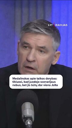 Politologas: Vašingtonas Trumpo administracijos metu ES kaip partnerio nemato