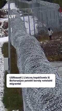 Į Lietuvą – kopėčiomis: užfiksuoti iš Baltarusijos patekti bandę neteisėti migrantai