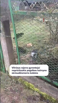 Gyventojai neprisišaukia pagalbos kaimyno skriaudžiamoms katėms
