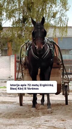Stasys jau 40 metų nesitraukia nuo žirgų
