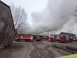 Gaisras medžio apdirbimo įmonėje Klaipėdos rajone
