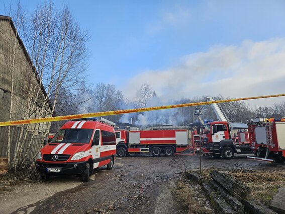 Gaisras medžio apdirbimo įmonėje Klaipėdos rajone pareikalavo ugniagesio gyvybės