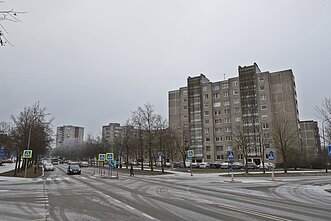 Pietiniame miesto rajone pirmasis apuokas apsigyveno 2017 m. 