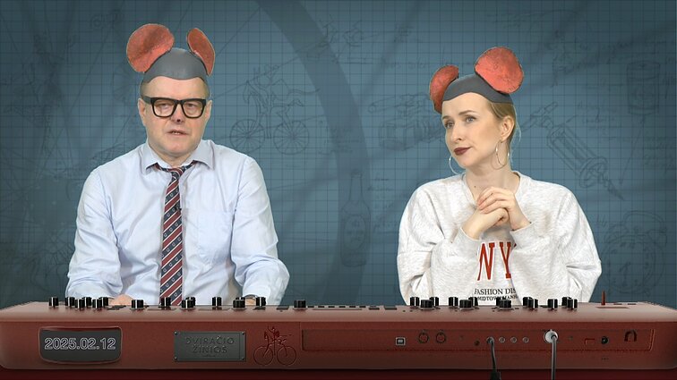 Peliukai apie „Eurovizijos“ atranką: kandidatus turi siūlyti valdžios institucijos?