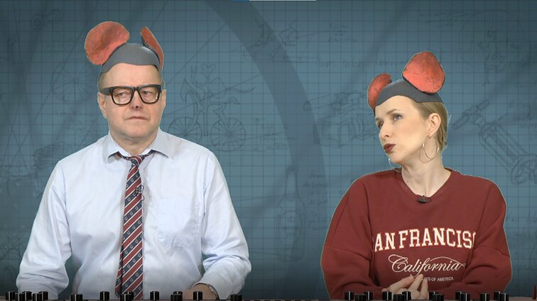 Peliukai apie pinigus gynybai: gausime iš valstybinės žemės?