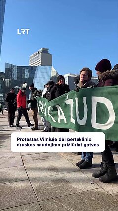 Vilniuje protestuota dėl perteklinio druskos naudojimo gatvėse ir šaligatviuose