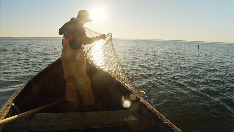 Žvejyba Kuršių mariose