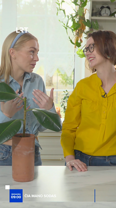 Laida „Čia mano sodas“ – jau šį sekmadienį!