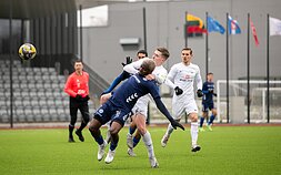 Kauno rajono „Hegelmann“