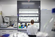 Laboratorija