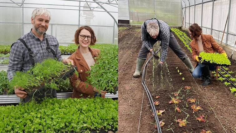 Andrius sėklas sudaigina tvariai, o ravėjimo įpročius siūlo keisti: reikia kultivuoti žemę