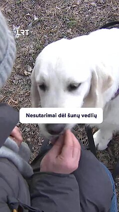 Patekti į institucijas turint šunį vedlį vis dar sudėtinga: kodėl?