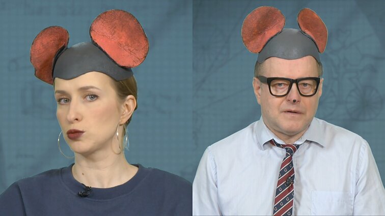 Peliukai apie mokesčių reformą: socialdemokratai įves ne mokesčius, o mokesčiukus?