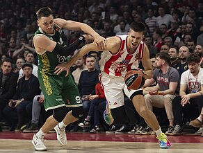 Eurolyga: Belgrado „Crvena Zvezda“ – Kauno „Žalgiris“