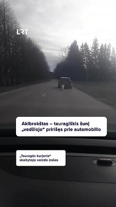 Darželio vadovas šunį tampė prisirišęs prie automobilio
