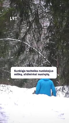 Miškovežio ratais sumaigytos slidinėjimo trasos: slidininkai nusivylę