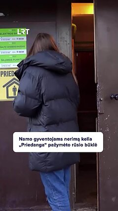 Ar prastos būklės ir jau seniai netvarkytas rūsys iš tikrųjų yra tinkama vieta priedangai?